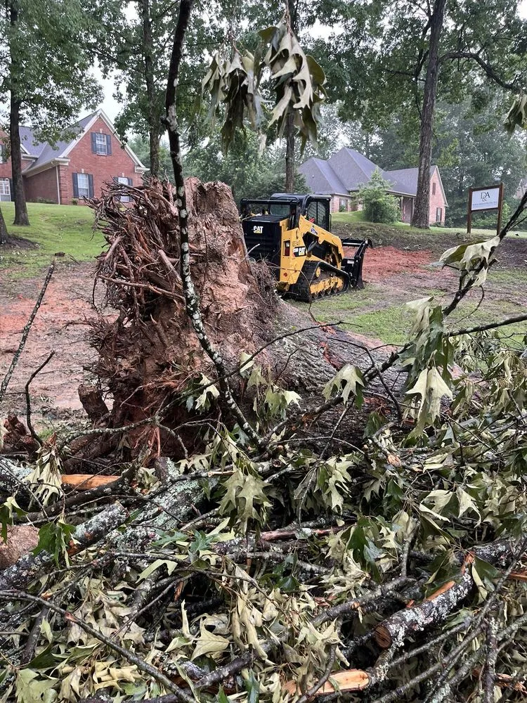 Custom landscaping services in Hernando, MS by McConnell Curb Appeal