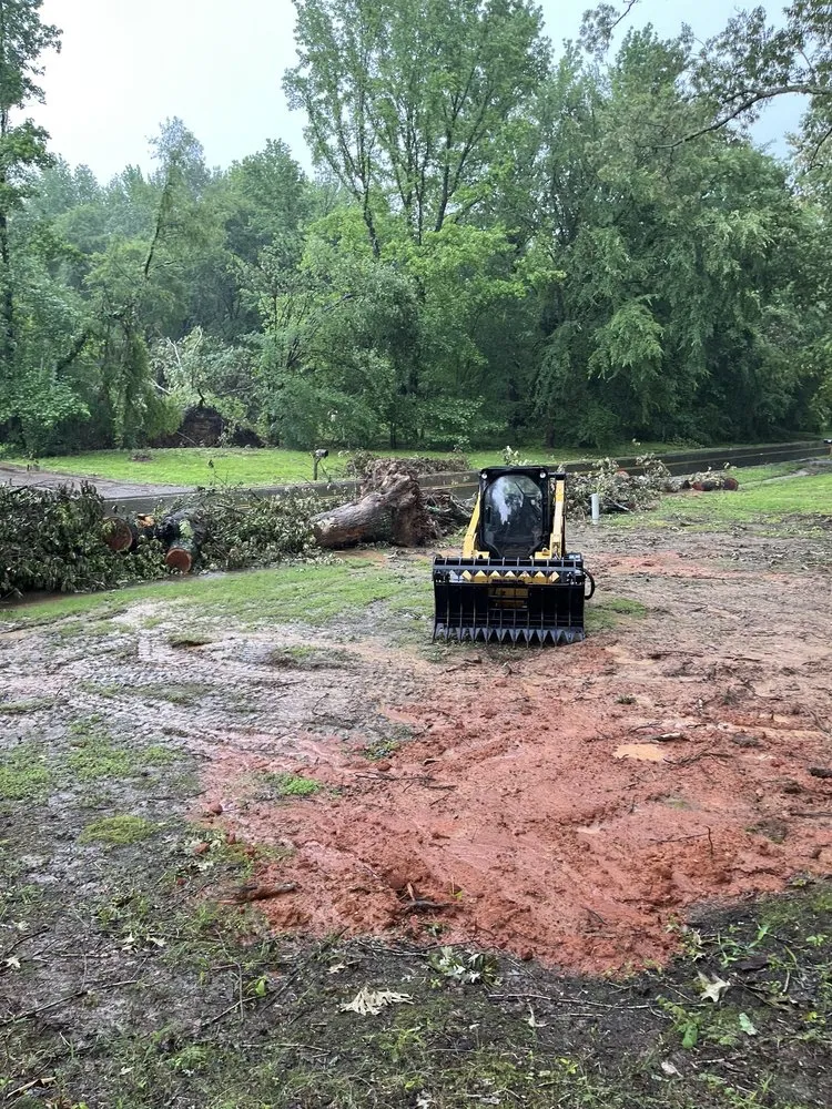 Professional residential landscaping in Hernando, MS by McConnell Curb Appeal
