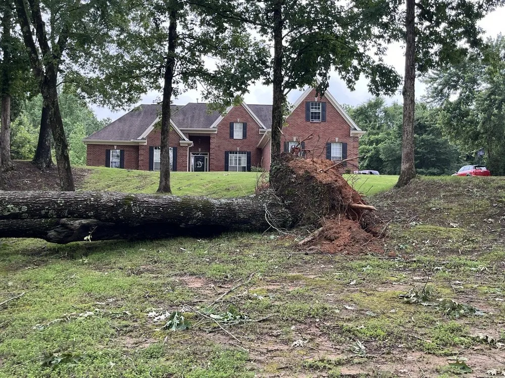 Local outdoor landscaping for beautiful yards across Hernando, MS - McConnell Curb Appeal