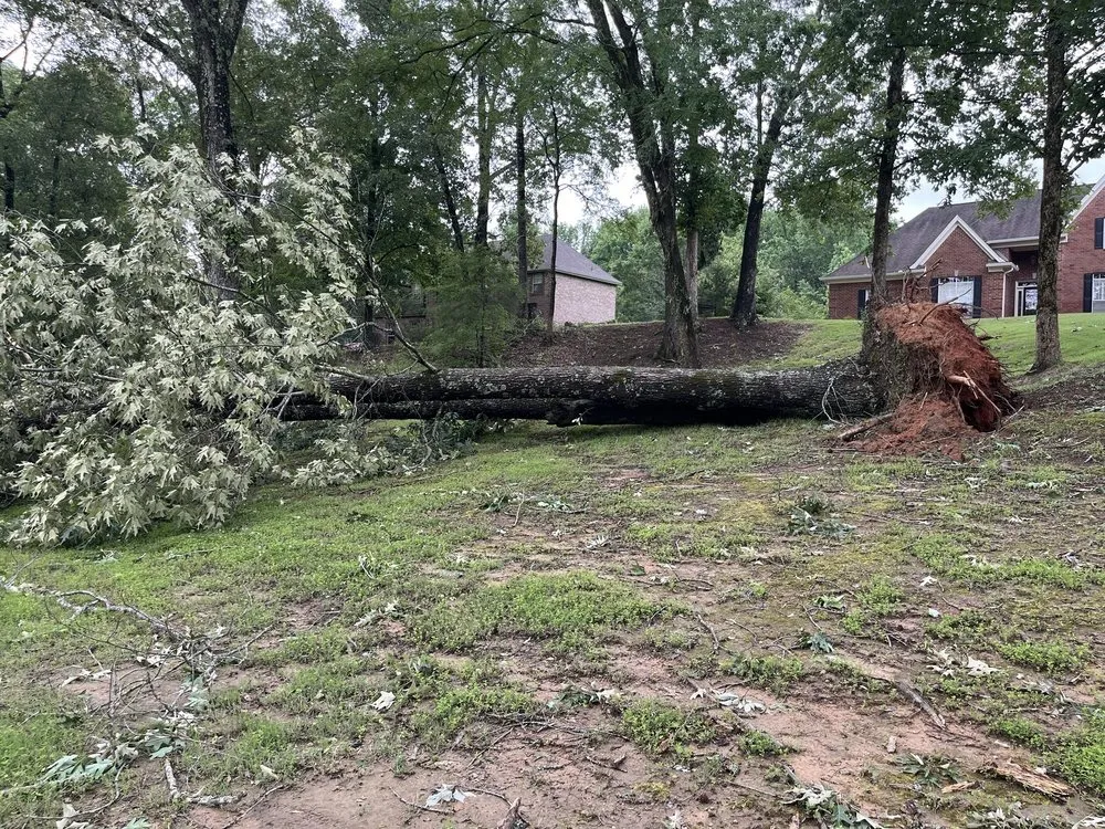 Top-rated landscape installation in Hernando, MS - McConnell Curb Appeal