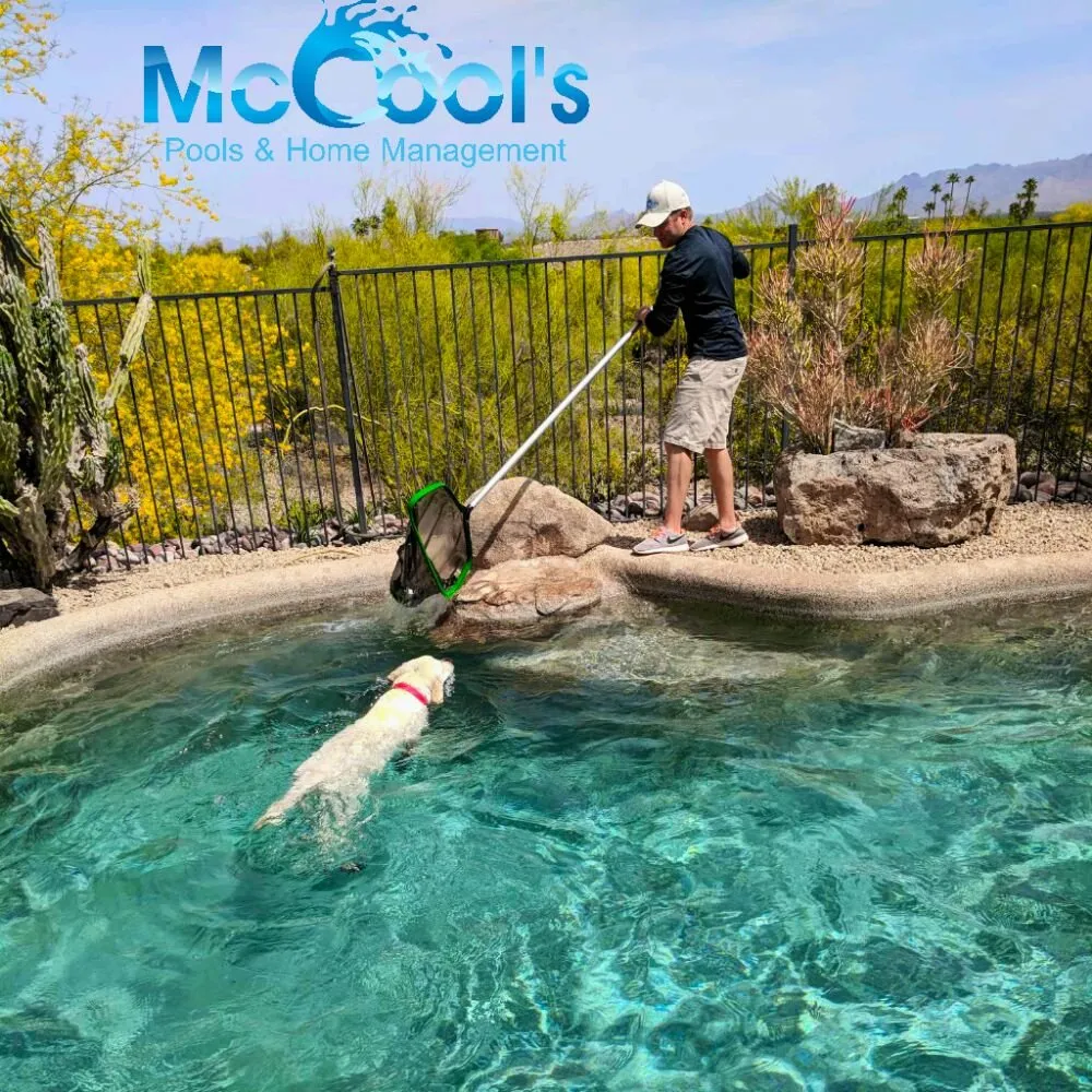 Reliable lawn mowing service in Cave Creek, AZ by McCools Pools & Company