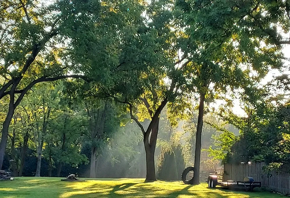 Expert lawn mowing service near you in Somers, WI by McCoppin's Lawn Care