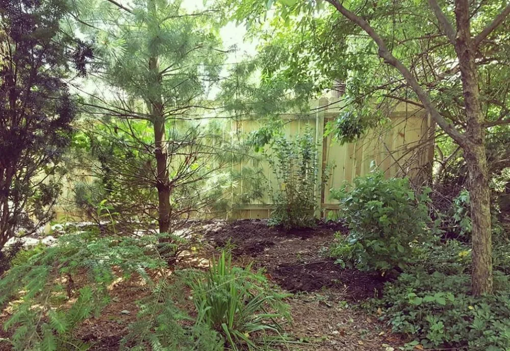 Professional yard maintenance for year-round maintenance across Columbus, OH - McCord Landscape