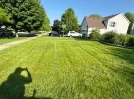 Affordable yard cleanup service experts serving Dale City, VA - McCord Landscaping And Leaf Removal