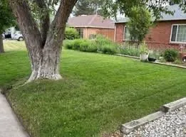 Affordable lawn care service for year-round maintenance across Dale City, VA - McCord Landscaping And Leaf Removal