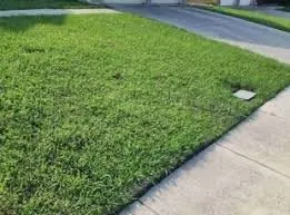 Expert lawn mowing service for beautiful yards in Dale City, VA by McCord Landscaping And Leaf Removal