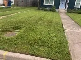 Professional outdoor landscaping with custom design in Dale City, VA by McCord Landscaping And Leaf Removal