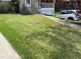 Reliable landscaping services in Dale City, VA by McCord Landscaping And Leaf Removal