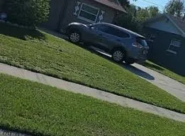 McCord Landscaping And Leaf Removal Logo