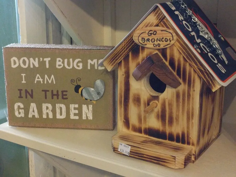 Professional yard cleanup service near you in Monument, CO by McCords Garden Center and Landscaping