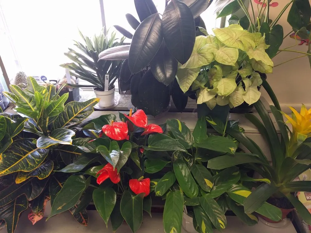 Affordable landscape design in Monument, CO - McCords Garden Center and Landscaping