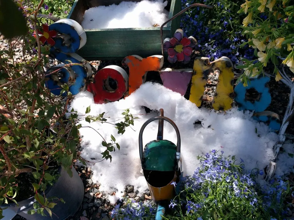 Affordable landscape installation for beautiful yards in Monument, CO by McCords Garden Center and Landscaping