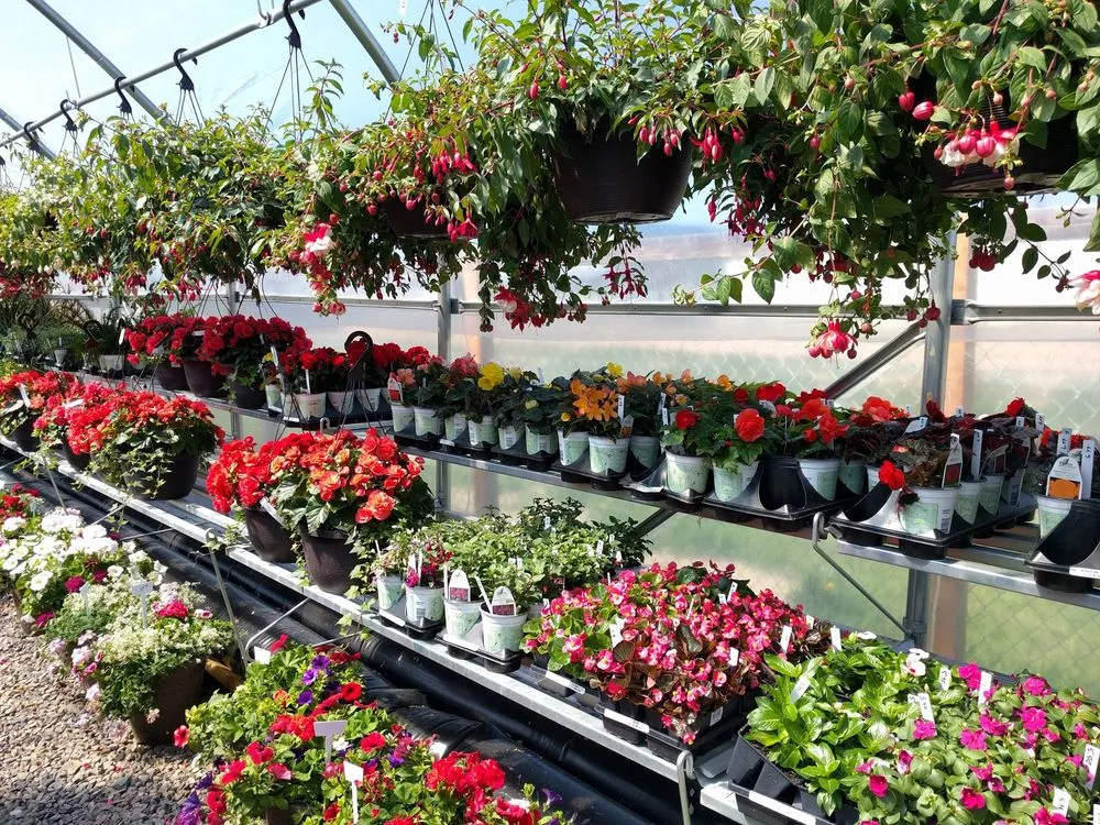 Custom lawn care service in Monument, CO by McCords Garden Center and Landscaping