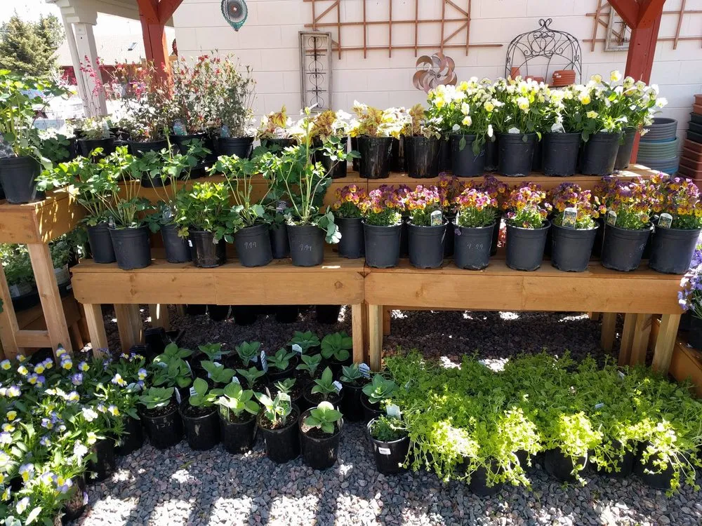 Local lawn mowing service experts serving Monument, CO - McCords Garden Center and Landscaping