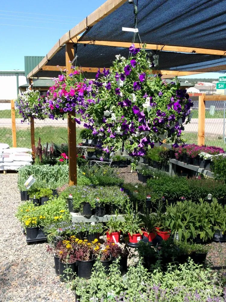 Top-rated landscaping services for homes across Monument, CO - McCords Garden Center and Landscaping