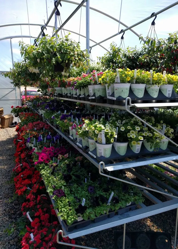 Trusted lawn care service for outdoor upgrades across Monument, CO - McCords Garden Center and Landscaping