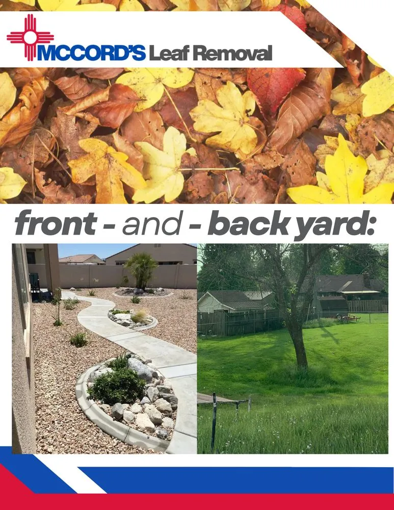 Professional lawn care service in Albuquerque, NM by McCord's Leaf Removal