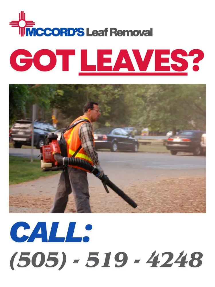 Reliable lawn care service in Albuquerque, NM by McCord's Leaf Removal