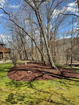 McCorkle Enterprises Landscape & Design