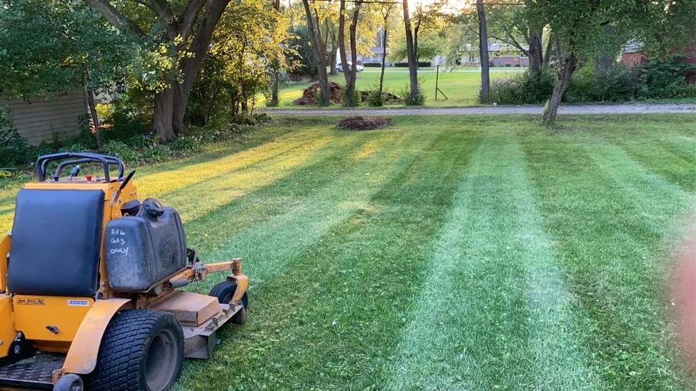 Reliable yard cleanup service experts serving Beach Park, IL - McCormack Landscaping & Tree Trimming