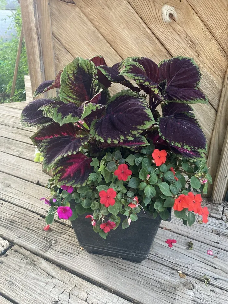 Custom yard cleanup service for homes in Beach Park, IL by McCormack Landscaping & Tree Trimming