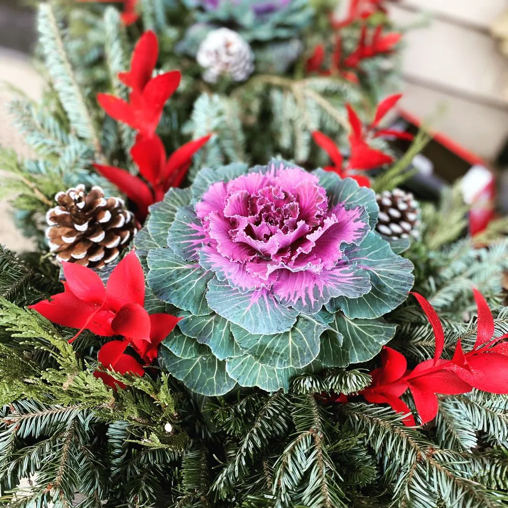 Custom yard maintenance experts serving Beach Park, IL - McCormack Landscaping & Tree Trimming