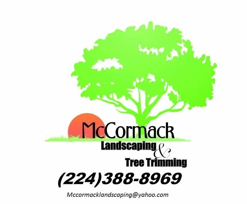 Expert yard maintenance in Beach Park, IL - McCormack Landscaping & Tree Trimming