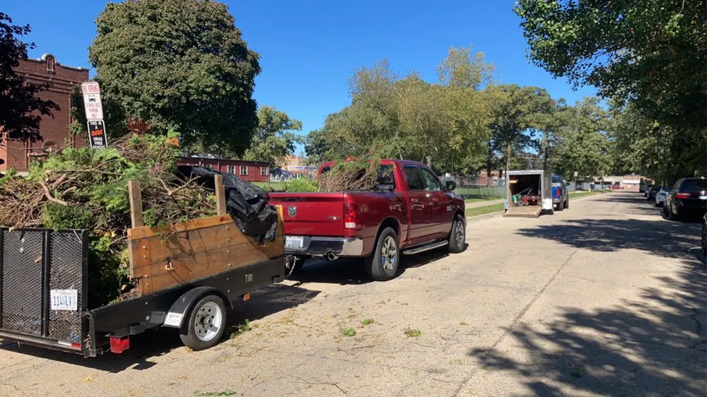 Expert yard maintenance experts serving Beach Park, IL - McCormack Landscaping & Tree Trimming