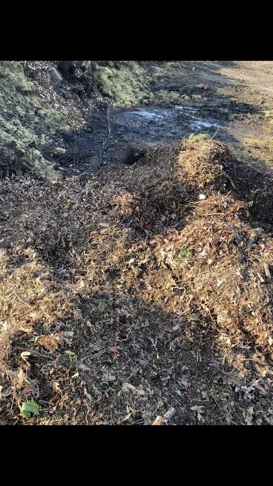 Professional lawn care service experts serving Beach Park, IL - McCormack Landscaping & Tree Trimming