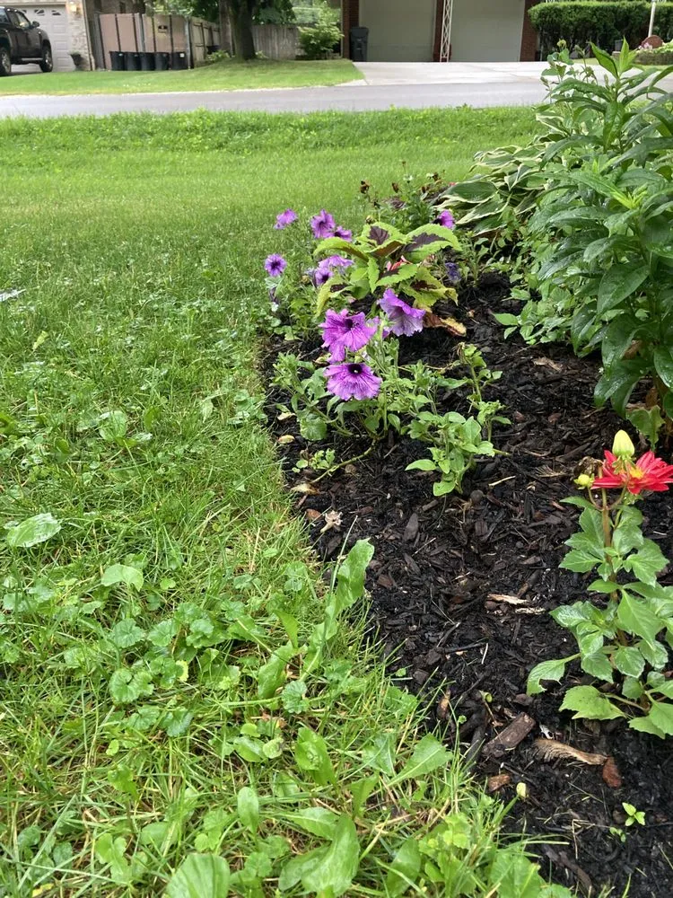 Affordable lawn care service near you across Beach Park, IL - McCormack Landscaping & Tree Trimming