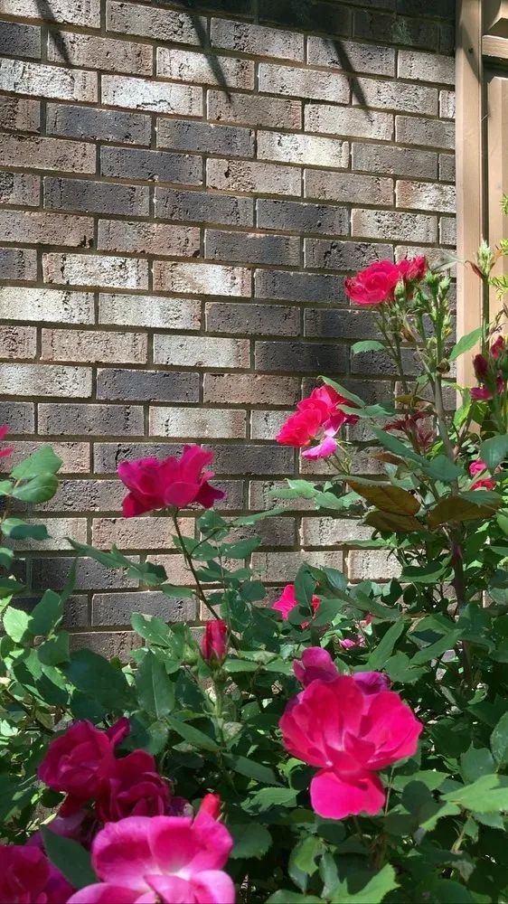 Reliable landscape design experts serving Beach Park, IL - McCormack Landscaping & Tree Trimming