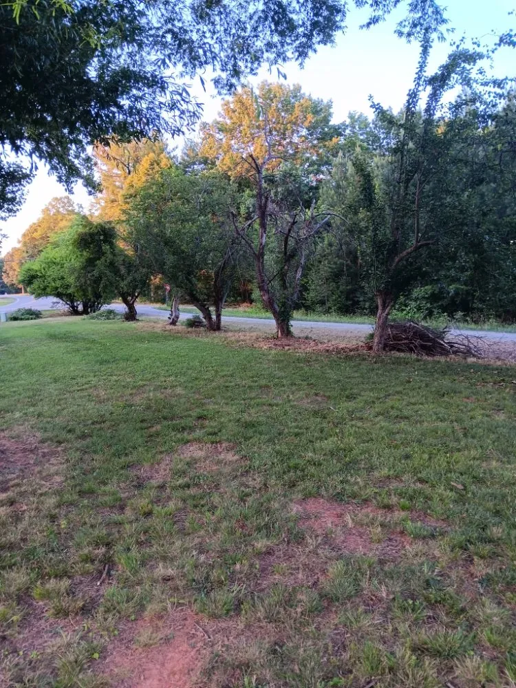 Trusted lawn care service with custom design across Greensboro, NC - Mccormick Landscaping