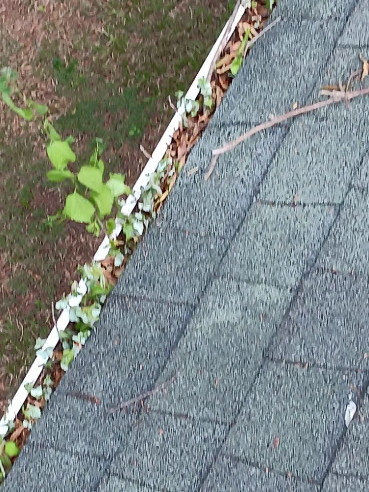 Local landscape installation experts serving Greensboro, NC - Mccormick Landscaping