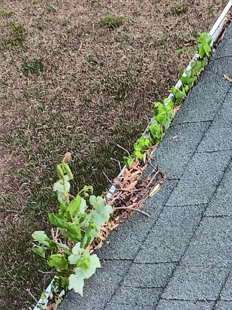 Top-rated garden landscaping near you across Greensboro, NC - Mccormick Landscaping