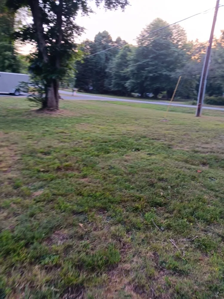 Professional garden landscaping in Greensboro, NC by Mccormick Landscaping