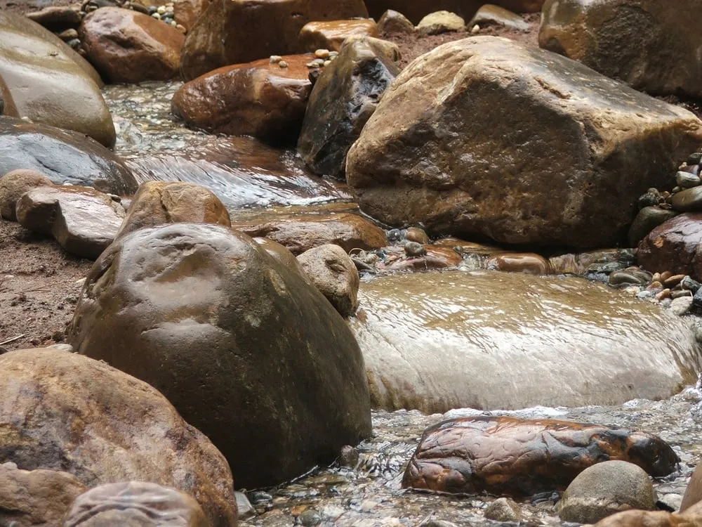 Expert yard cleanup service in North Augusta, SC - McCormick Landscaping