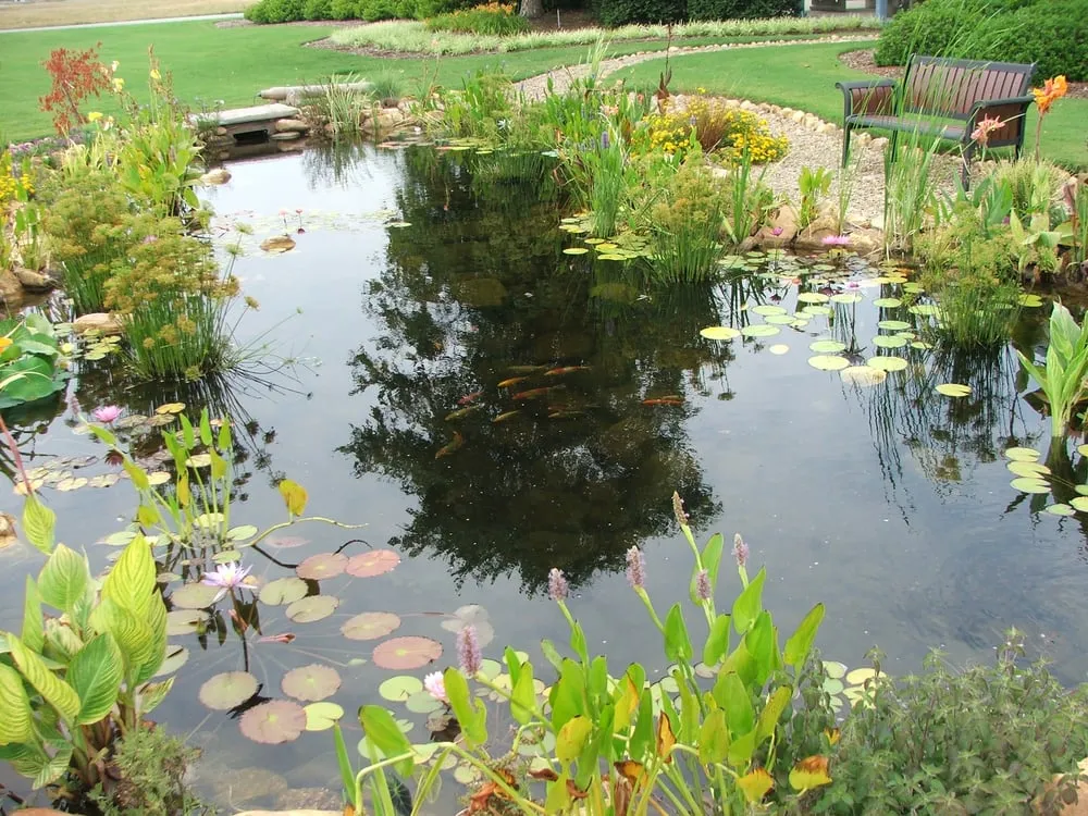 Reliable outdoor landscaping in North Augusta, SC by McCormick Landscaping