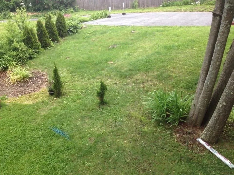 Local residential landscaping for homes in Grafton, MA by McCormick Lawn & Living