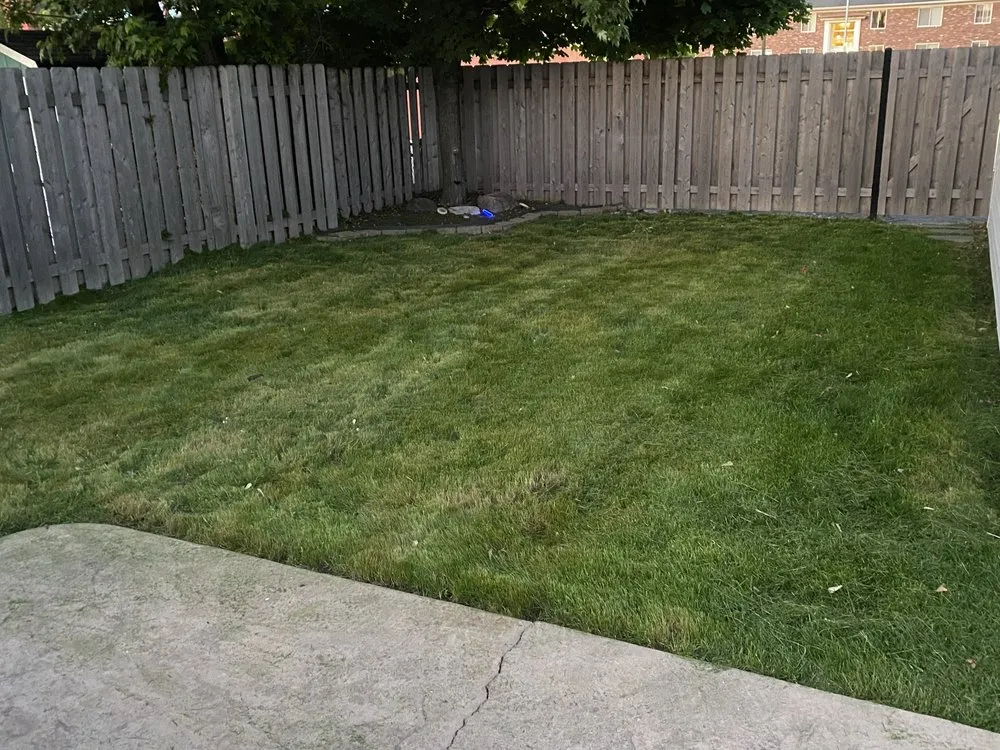 Trusted yard maintenance in St. Clair Shores, MI by McCormick Services