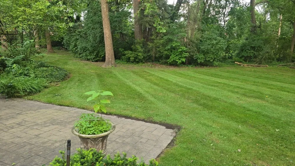 Professional lawn care service near you across St. Clair Shores, MI - McCormick Services