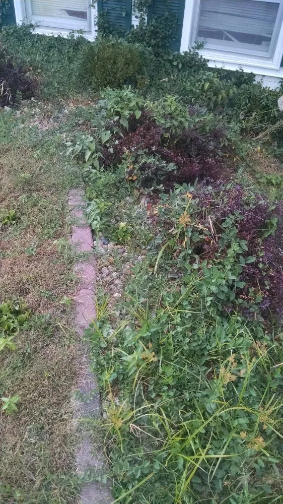 Affordable landscape installation in Galesburg, IL by McCormick's Lawn