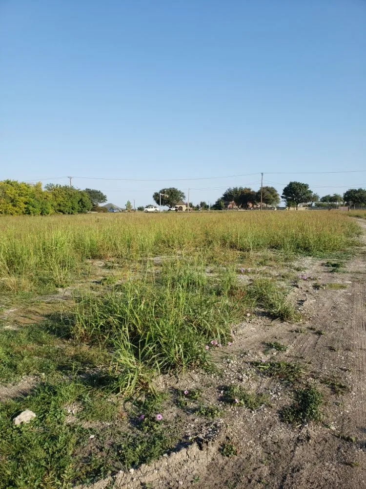 Affordable lawn mowing service experts serving Denton, TX - McCoy Brothers Landscaping