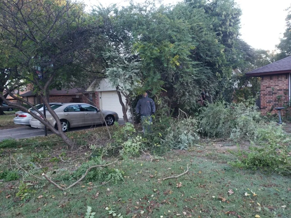 Affordable landscape design in Denton, TX - McCoy Brothers Landscaping