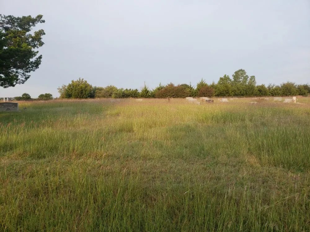 Professional garden landscaping experts serving Denton, TX - McCoy Brothers Landscaping