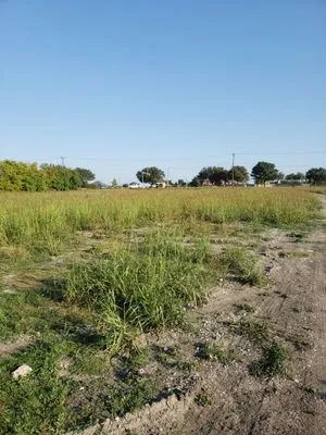 McCoy Brothers Landscaping Logo