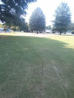 Trusted outdoor landscaping near you across Russellville, AR - McCoy Heath - Home and Garden