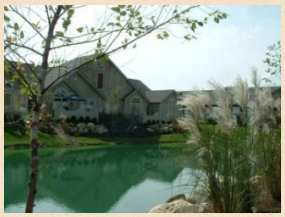 Expert yard cleanup service for beautiful yards across Marion, OH - McCoy Landscape Services