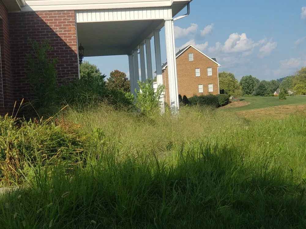 Expert landscaping services in Blacksburg, VA - Mccoy Lawn Care