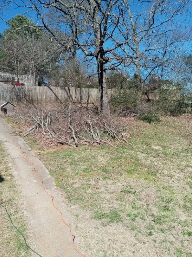 Expert landscaping services experts serving Mobile, AL - McCoy's Junk Removal Pressure Washing And Landscaping