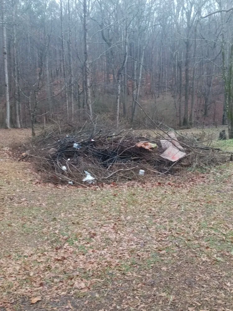 Expert landscape installation in Mobile, AL - McCoy's Junk Removal Pressure Washing And Landscaping